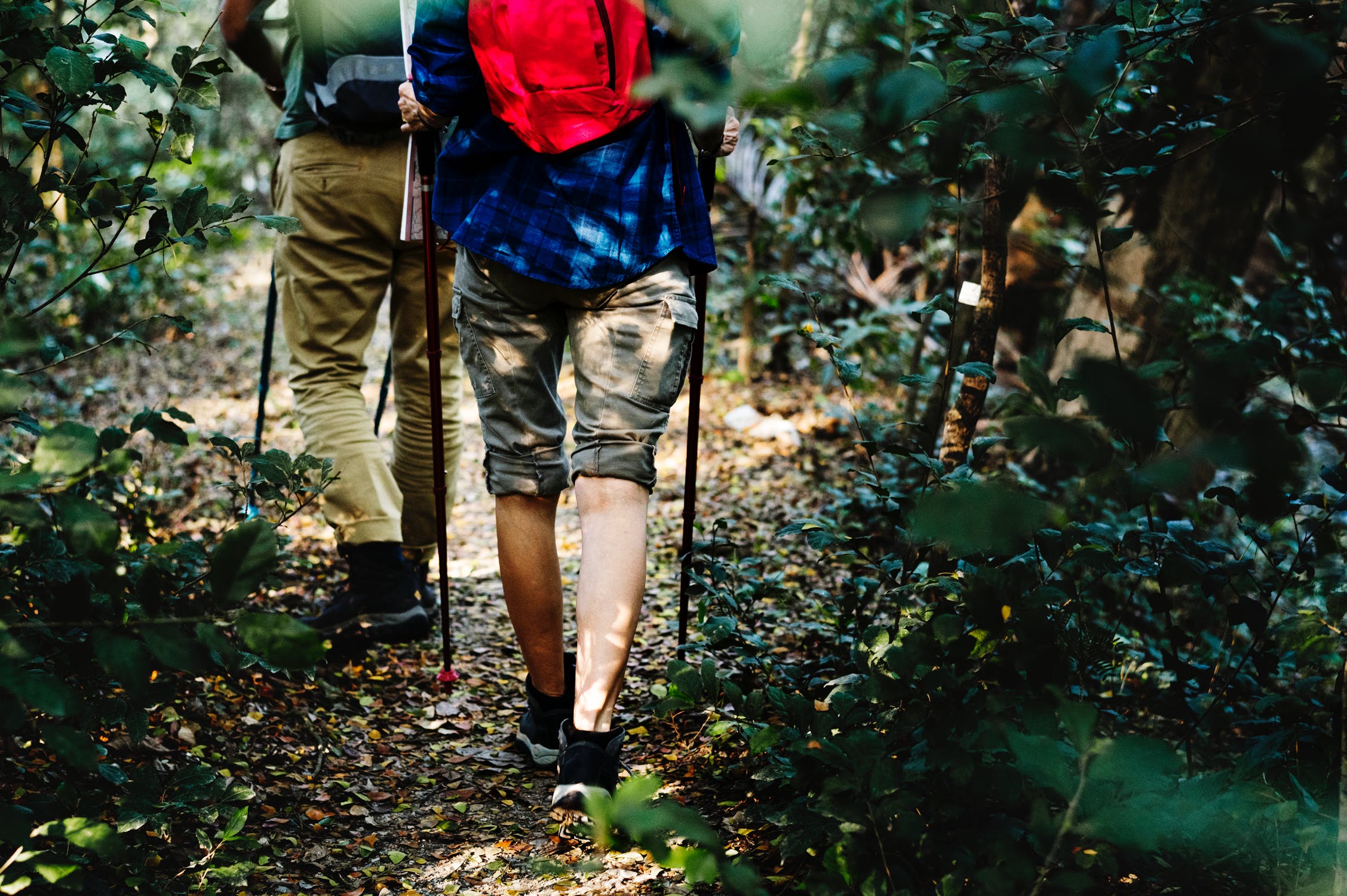 Preparing for a 1 Day Hike: A Step-by-Step Guide to Packing Like a Pro